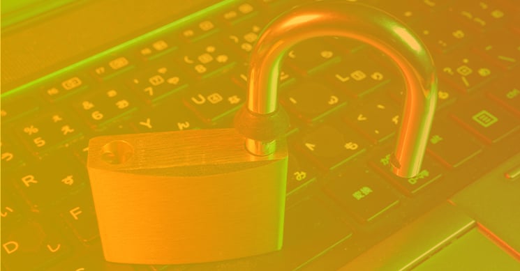 network vulnerability assessment