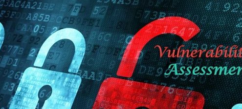 Vulnerability-Assessment