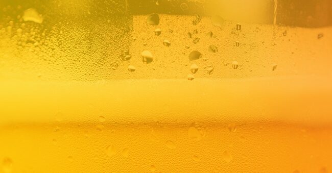 closeup of a glass of beer for hacks and hops