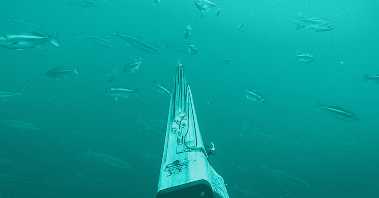spearfishing to show spear phishing